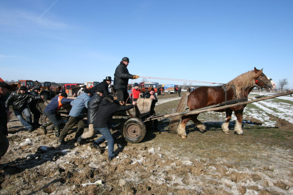 Skaryszewski Jarmark Koński