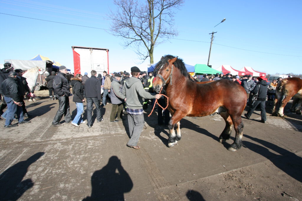 Skaryszewski Jarmark Koński