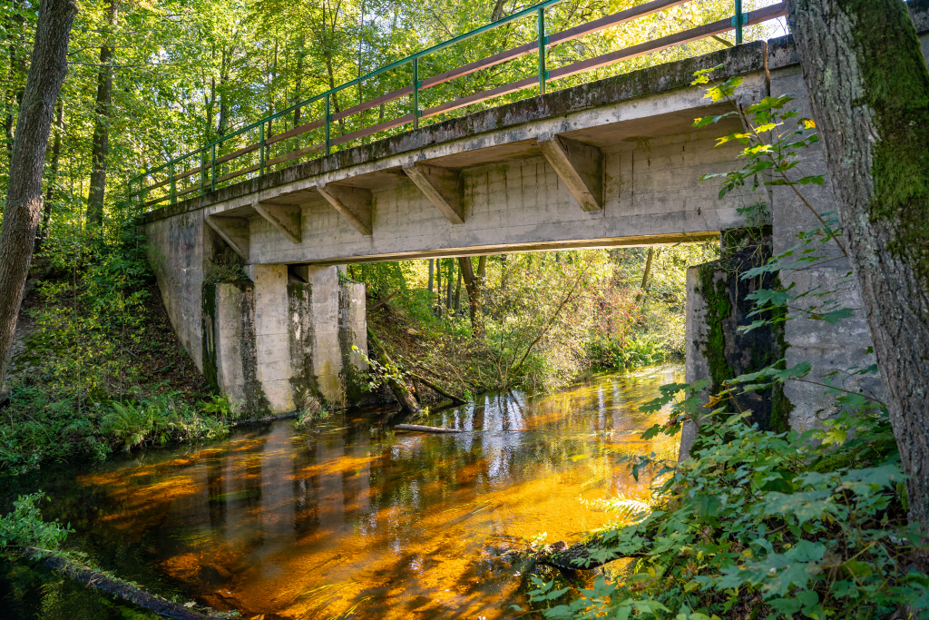 Królewskie Żródła