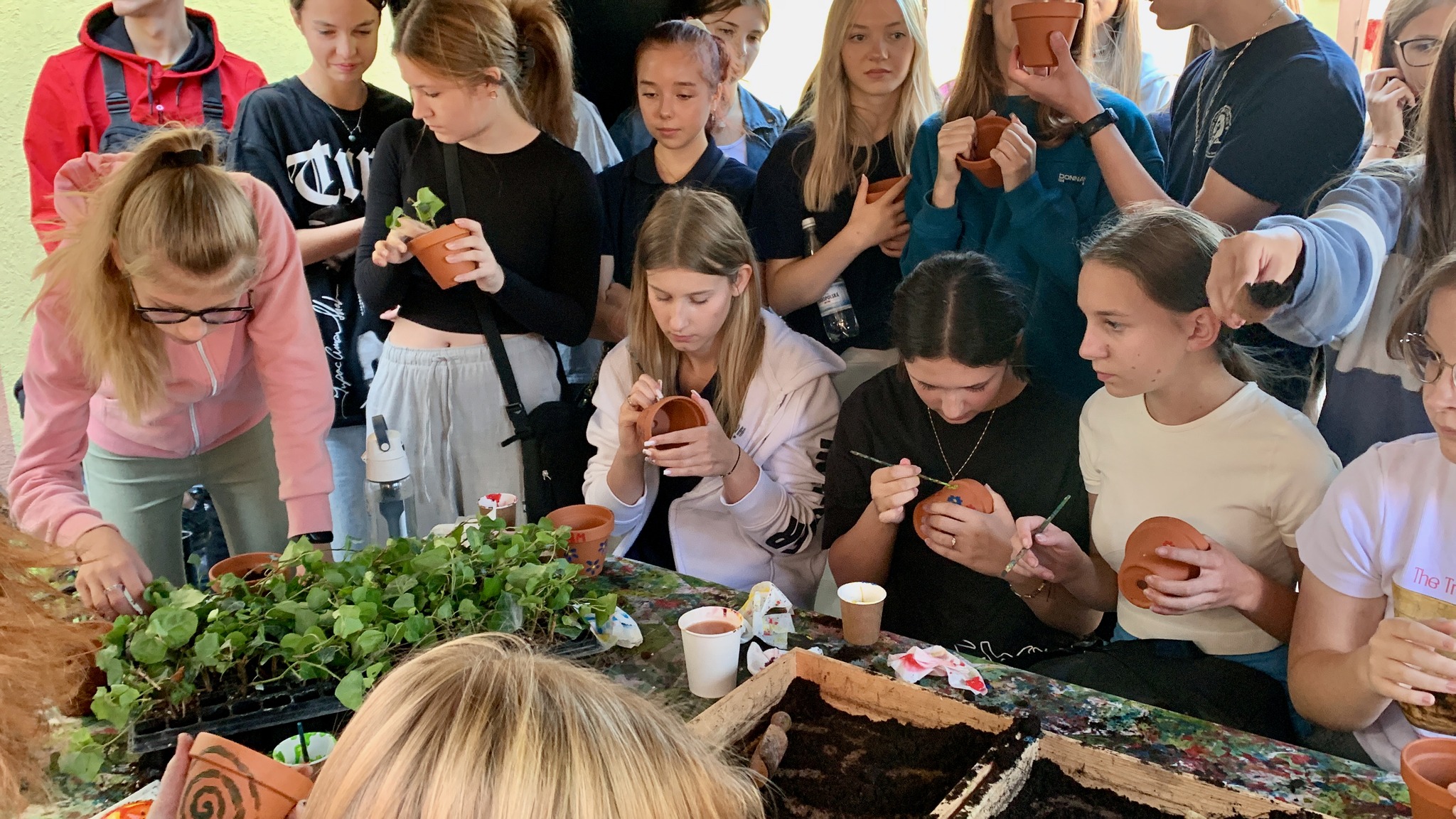 376405531_924830799162188_7221830785635156461_n