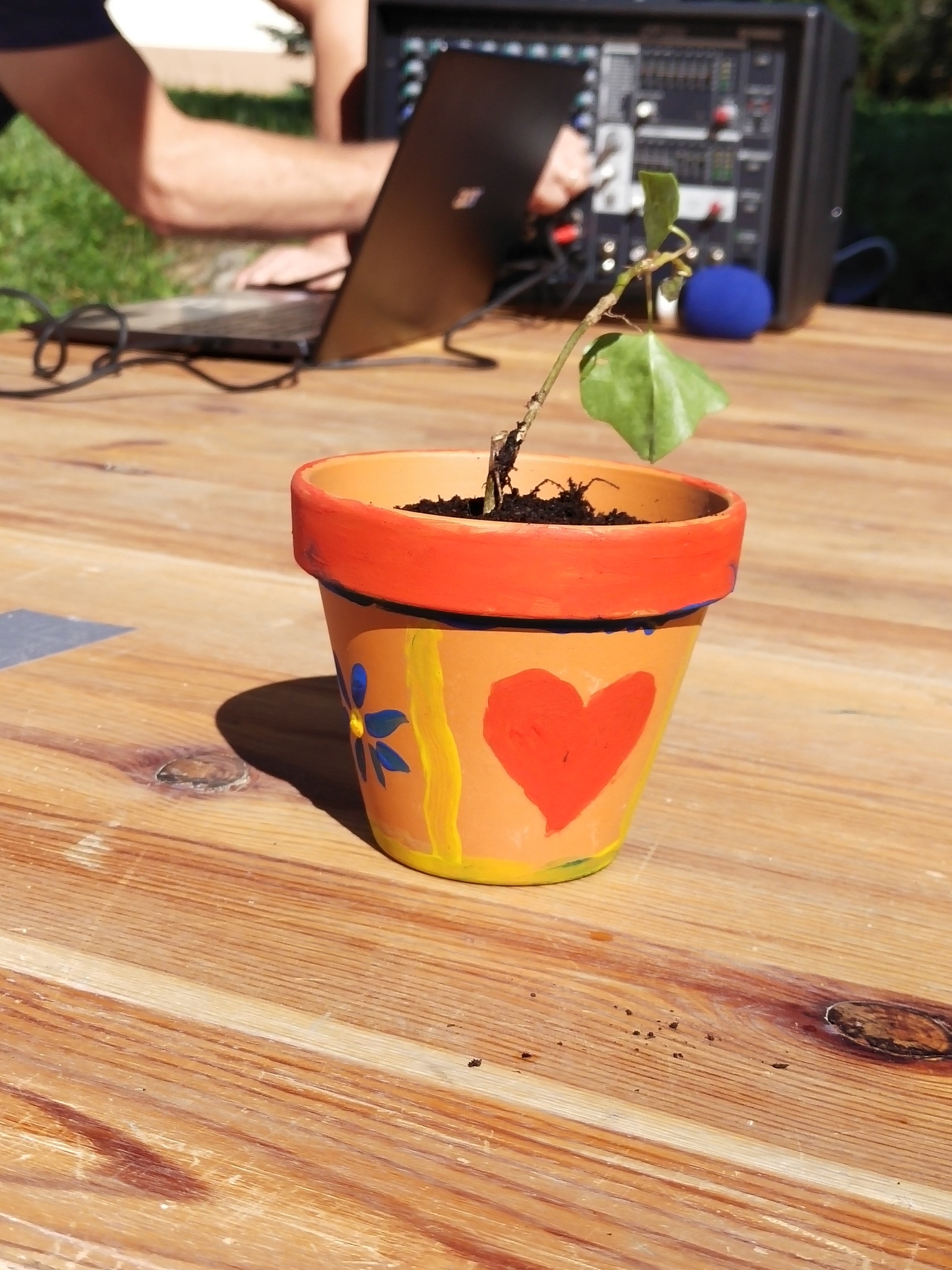 376425130_924825115829423_3355304040623170830_n