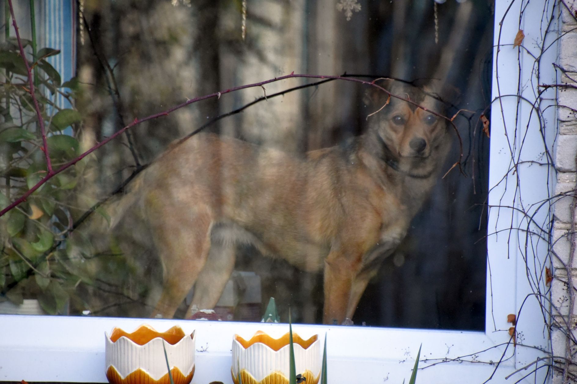 412873912_347738511217009_5588960765845631024_n