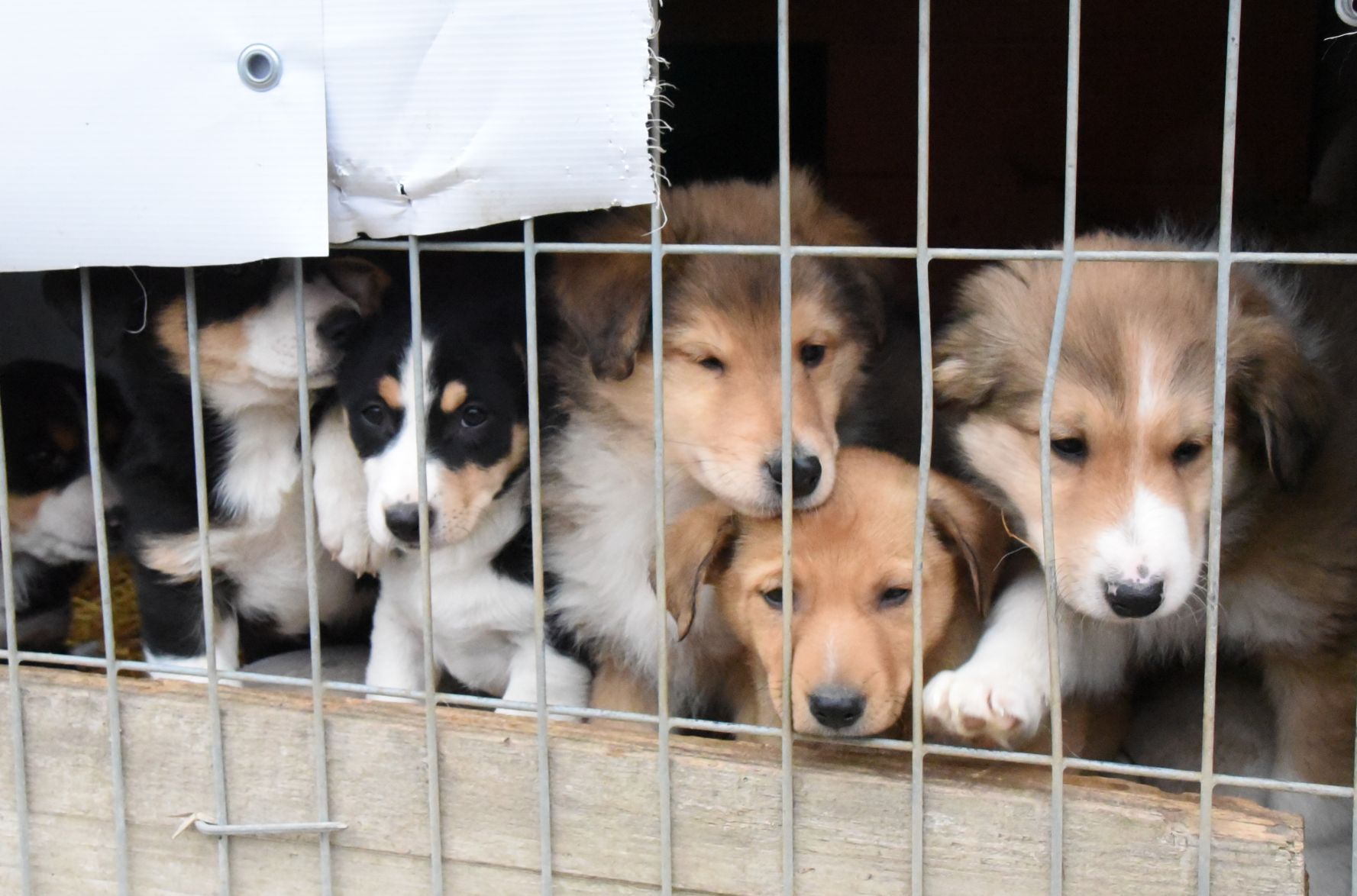 412878095_347738051217055_6089033310436111038_n