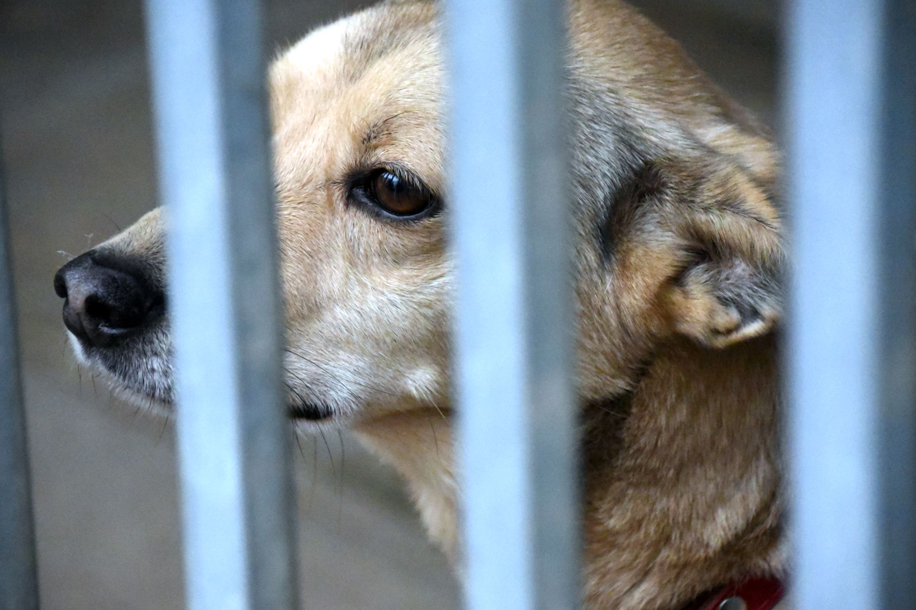 413875118_347738331217027_5112907817177748019_n