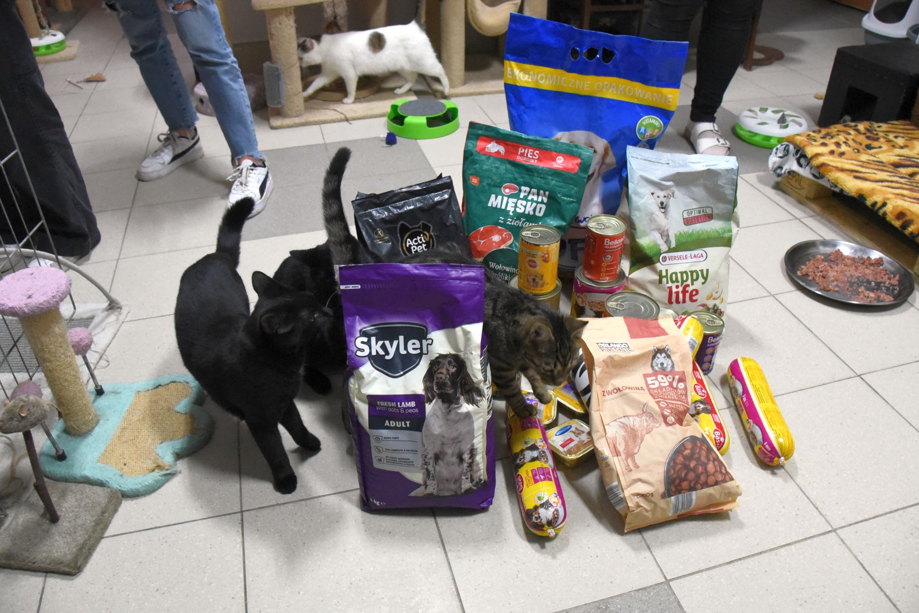 413966836_347738211217039_7169413173481824719_n