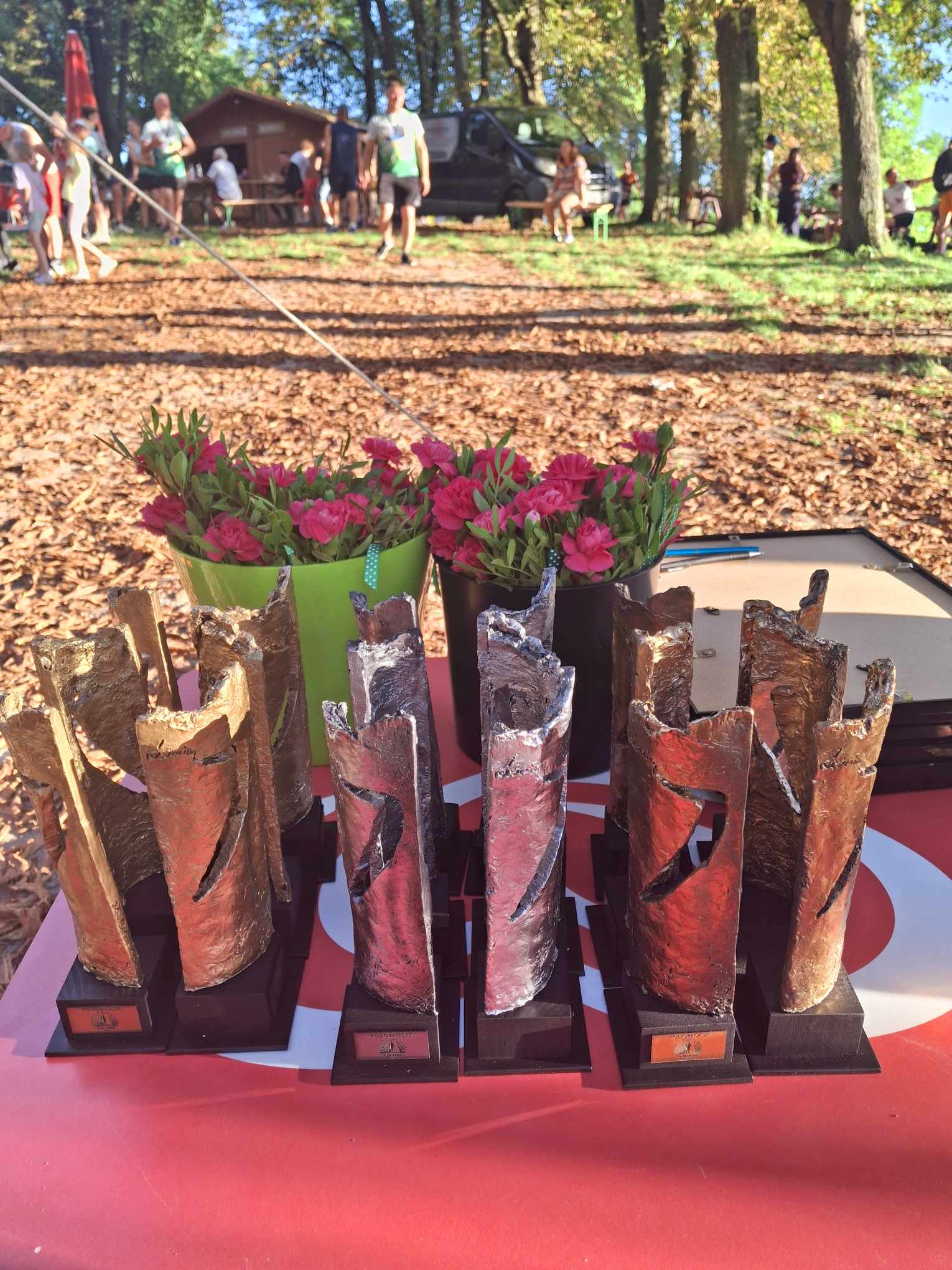 450258892_809985187851531_3490226350020906652_n