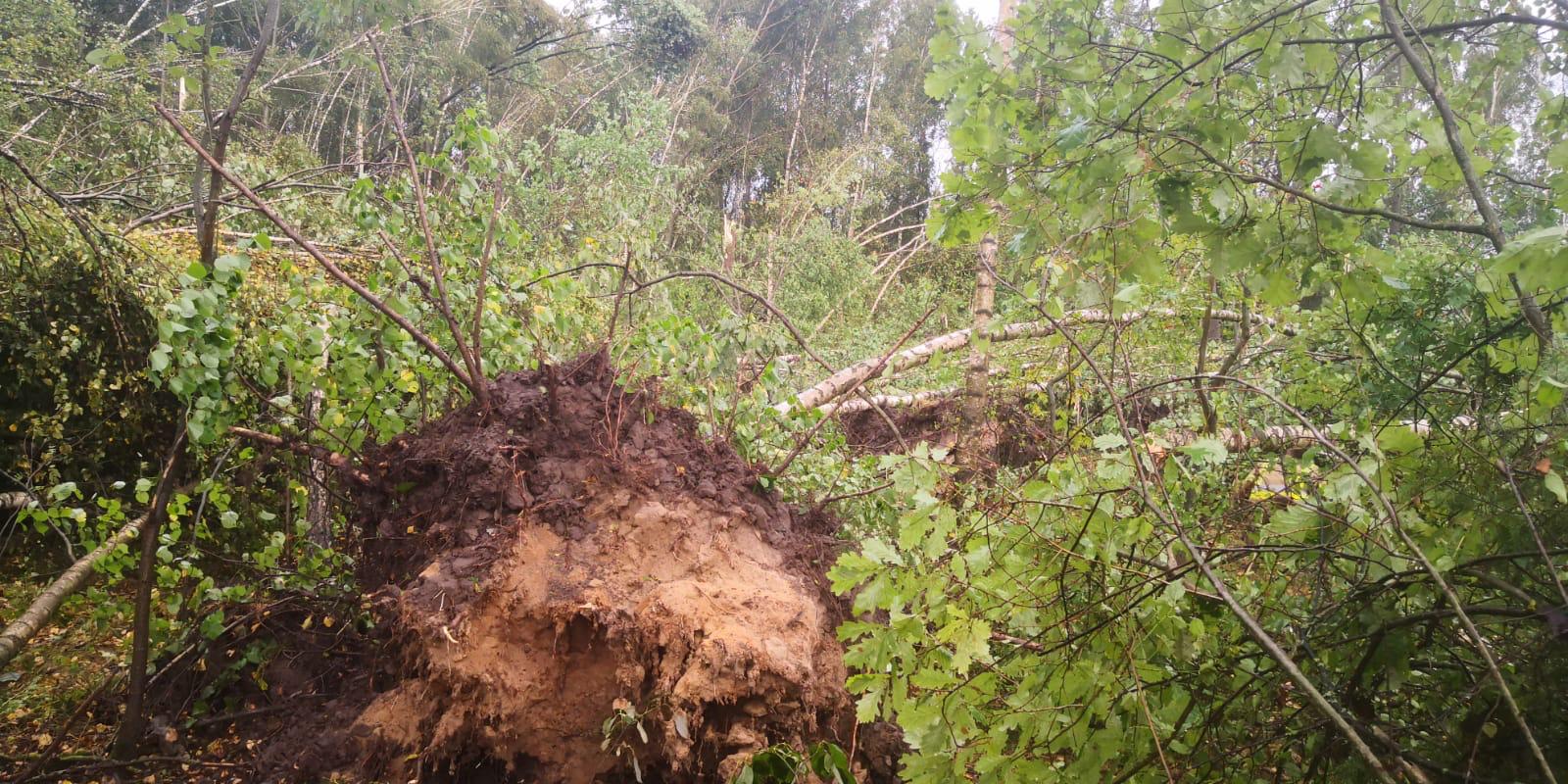 459823149_859523626155110_4262844089924907626_n