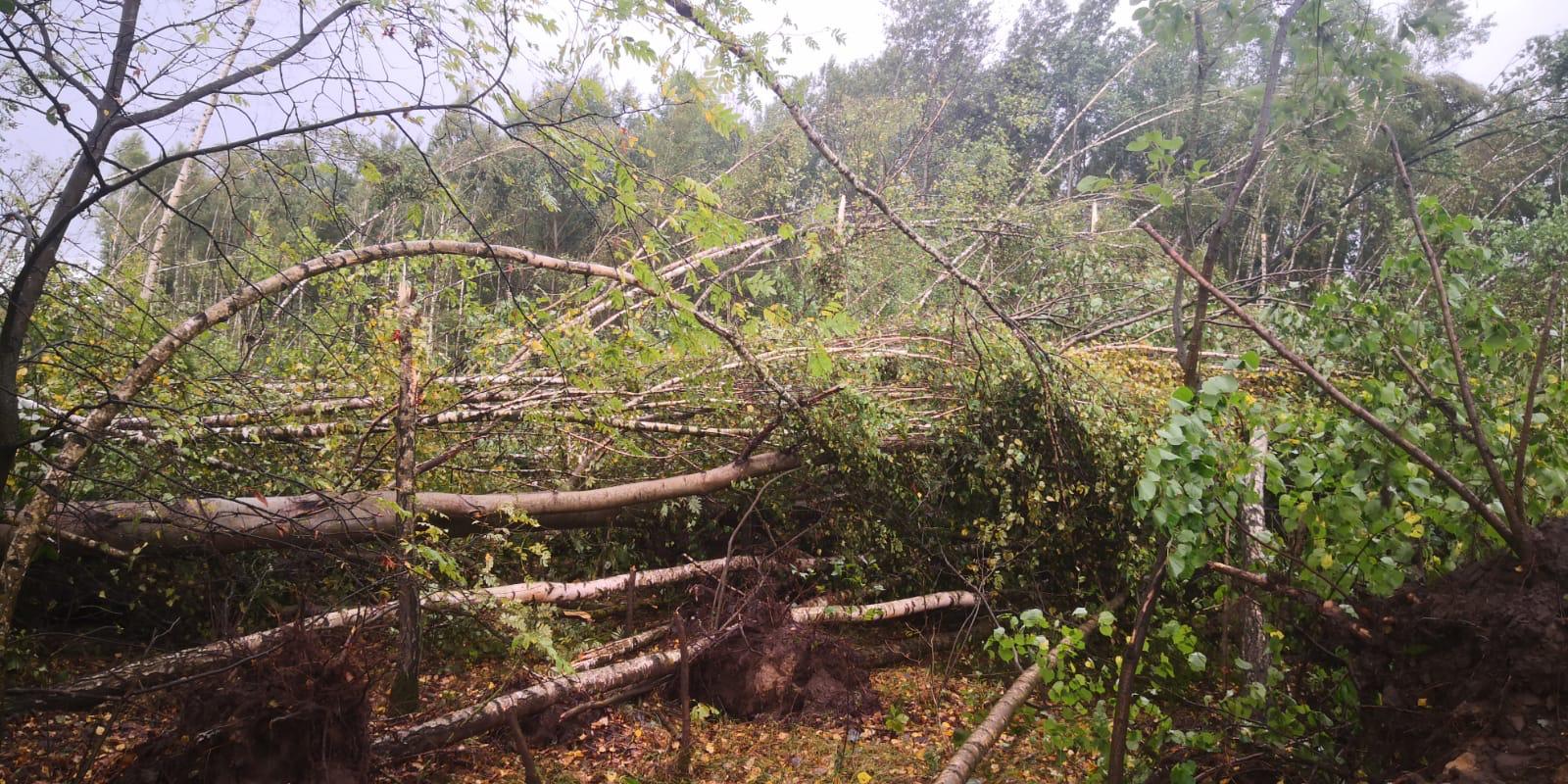 459953585_859523629488443_8841077264212317675_n