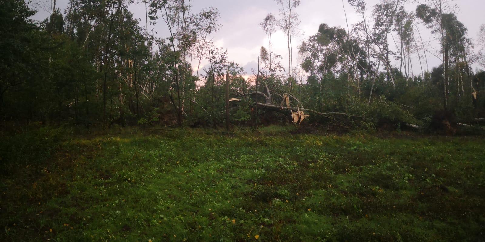 460185919_859523616155111_7783794181117641227_n